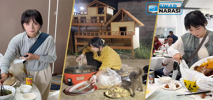 Aksi Penuh Kasih Wanita Tiongkok yang Selamatkan Ratusan Kucin