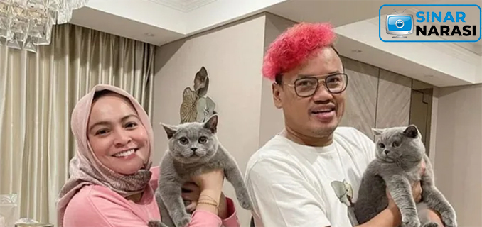 Dijarah, 3 Kucing Kesayangan Uya Kuya Masih Belum Ditemukan