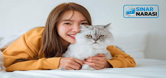 Kucing Dari Liar Menjadi Hewan Peliharaan Manusia