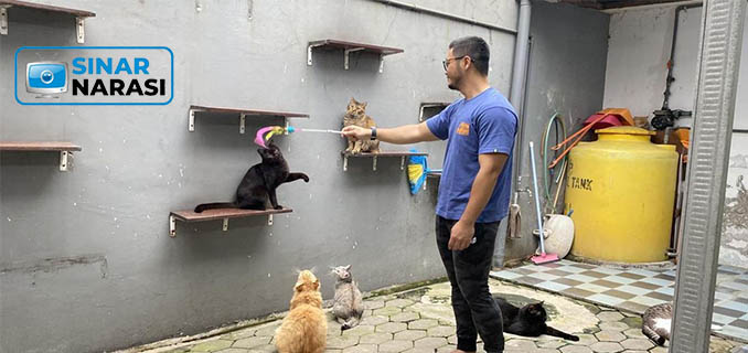 Peduli Kesejahteraan Kucing Komunitas CSS Konsisten Gelar Sterilisasi